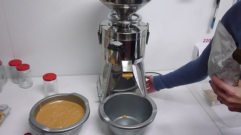 Masina unt de arahide 220V